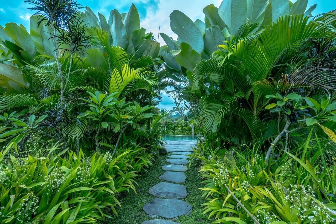 Malaya Villas Ubud Tegallalang  Exterior photo